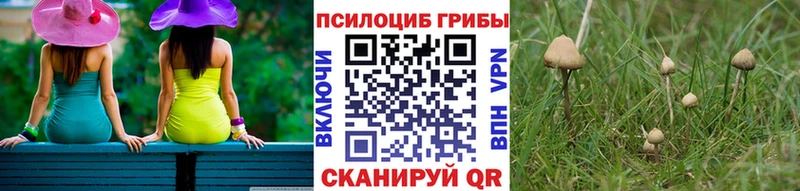 Галлюциногенные грибы прущие грибы  кракен вход  Печора 