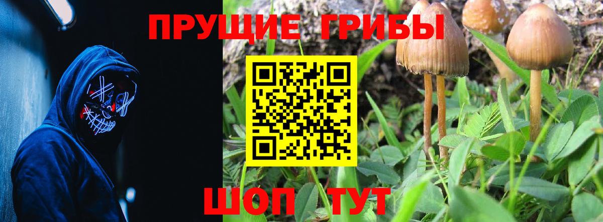 Печора  Галлюциногенные грибы прущие грибы  Псилоцибиновые грибы Psilocybe  Вход с VPN 